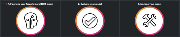 This image shows the first screen after selecting the Deep Learning Text Classification Assistant from the main navigation menu. There are 3 icons: Fine-tune your Transformers BERT model, Evaluate your model, and Manage your model. The first icon of Fine-tune your Transformers BERT model, is highlighted.